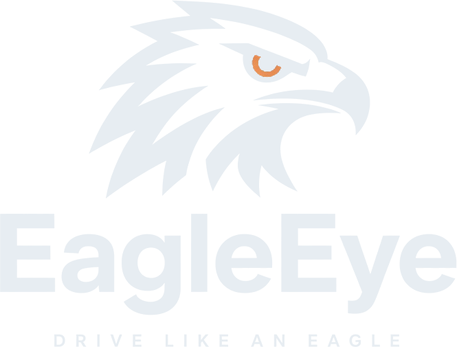 EagleEye